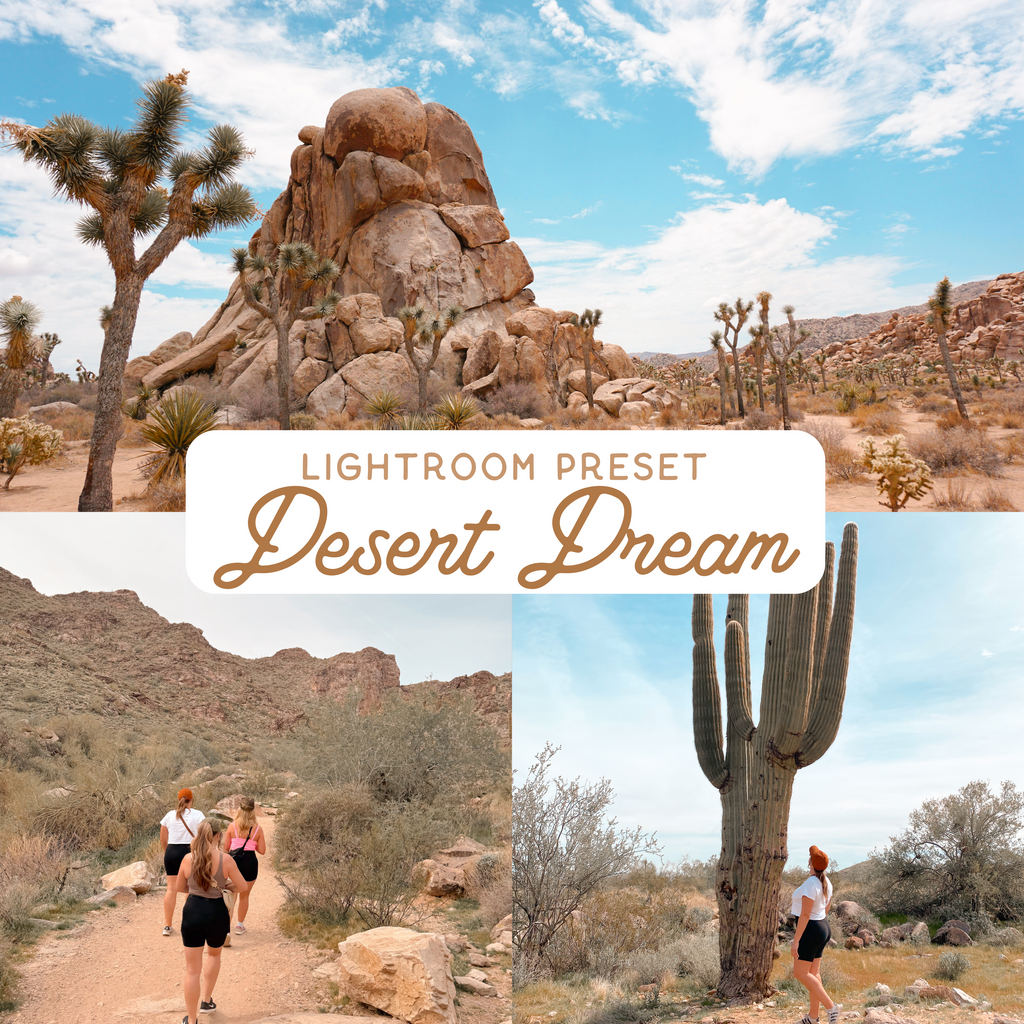 Desert Dream Preset