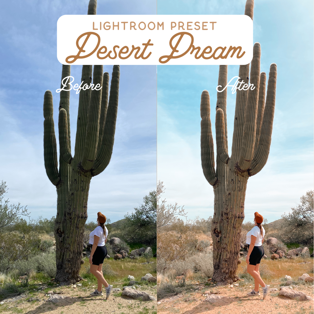 Desert Dream Preset