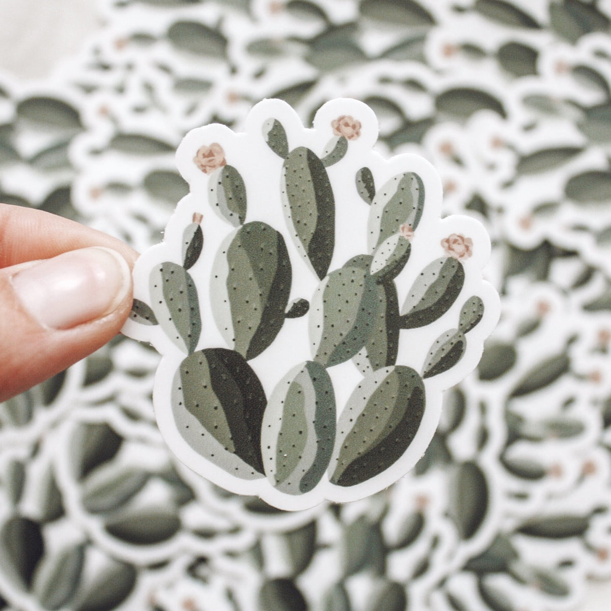 Prickly Pear Cactus Sticker | Jess' Paper Co.